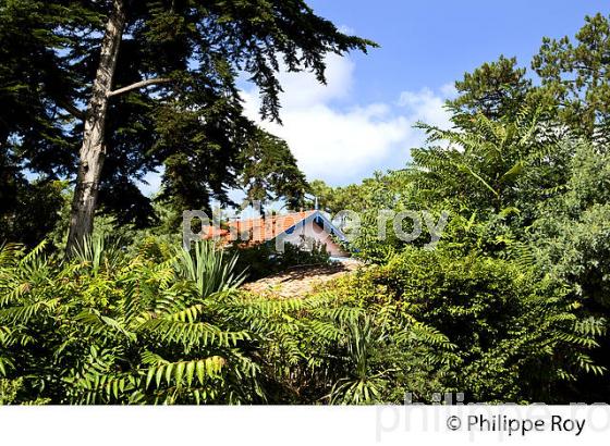 VILLA, QUARTIER DES 44 HECTARES, PRESQU' ILE DU CAP FERRET, BASSIN D' ARCACHON, GIRONDE. (33F27305.jpg)