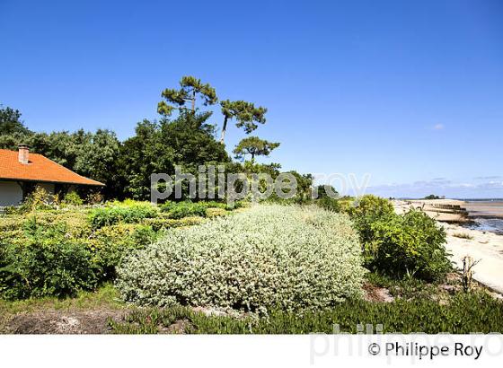 VILLA, QUARTIER DES 44 HECTARES, PRESQU' ILE DU CAP FERRET, BASSIN D' ARCACHON, GIRONDE. (33F27307.jpg)