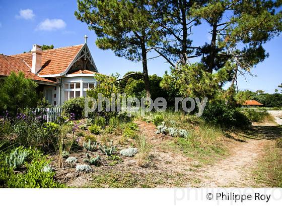 VILLA, QUARTIER DES 44 HECTARES, PRESQU' ILE DU CAP FERRET, BASSIN D' ARCACHON, GIRONDE. (33F27308.jpg)