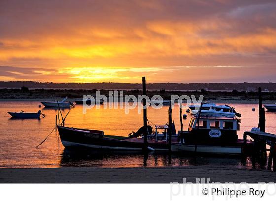 QUARTIER OSTREICOLE, MIMBEAU, BELISAIRE, PRESQU' ILE DU CAP FERRET, BASSIN D' ARCACHON, GIRONDE. (33F27316.jpg)