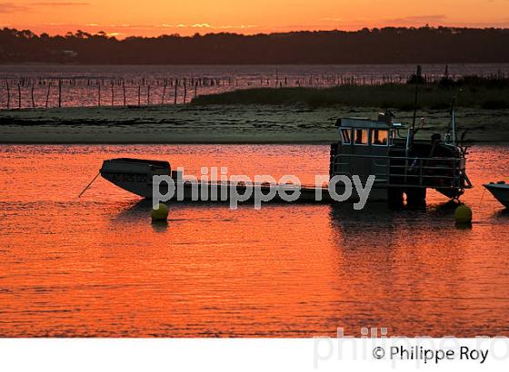 QUARTIER OSTREICOLE, MIMBEAU, BELISAIRE, PRESQU' ILE DU CAP FERRET, BASSIN D' ARCACHON, GIRONDE. (33F27318.jpg)