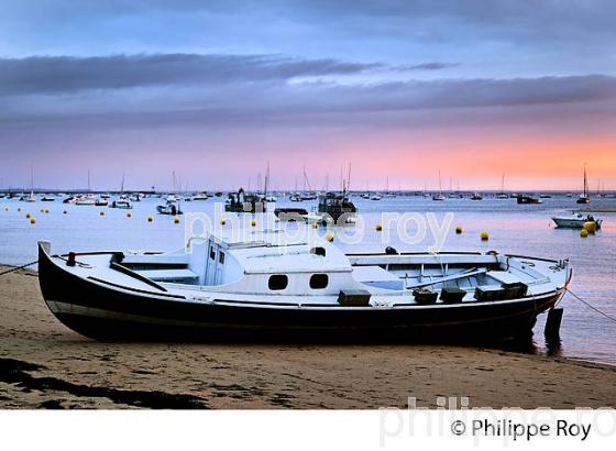 BELISAIRE, PRESQU' ILE DU CAP FERRET, BASSIN D' ARCACHON, GIRONDE. (33F27321.jpg)