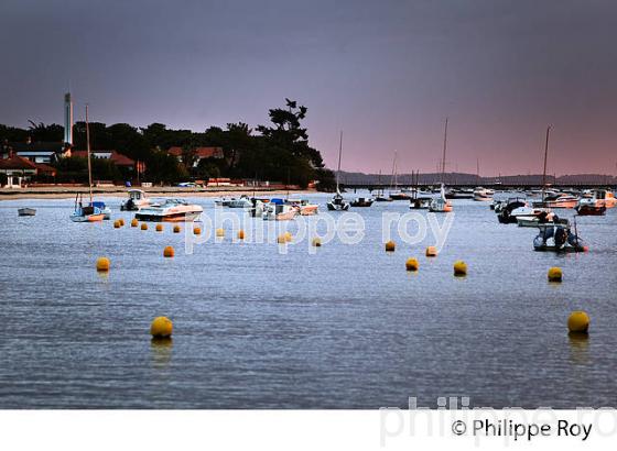 BELISAIRE, PRESQU' ILE DU CAP FERRET, BASSIN D' ARCACHON, GIRONDE. (33F27322.jpg)