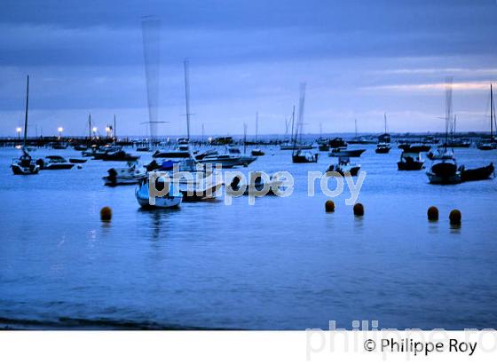 QUARTIER OSTREICOLE, MIMBEAU, BELISAIRE, PRESQU' ILE DU CAP FERRET, BASSIN D' ARCACHON, GIRONDE. (33F27323.jpg)