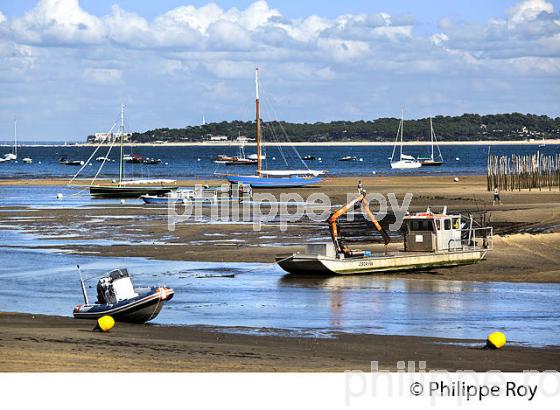LAGUNE DU  MIMBEAU, BELISAIRE, PRESQU' ILE DU CAP FERRET, BASSIN D' ARCACHON, GIRONDE. (33F27330.jpg)