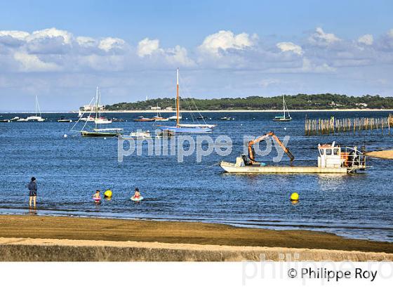 PLAGE DE  BELISAIRE, PRESQU' ILE DU CAP FERRET, BASSIN D' ARCACHON, GIRONDE. (33F27332.jpg)