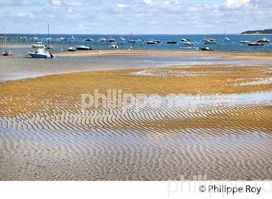 PLAGE DE  BELISAIRE, PRESQU' ILE DU CAP FERRET, BASSIN D' ARCACHON, GIRONDE. (33F27336.jpg)