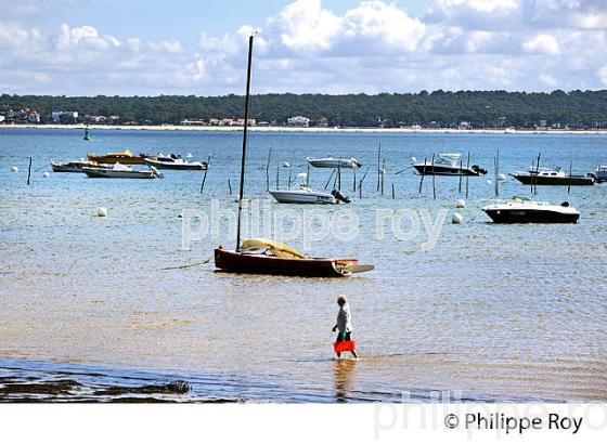 PLAGE DE  BELISAIRE, PRESQU' ILE DU CAP FERRET, BASSIN D' ARCACHON, GIRONDE. (33F27339.jpg)