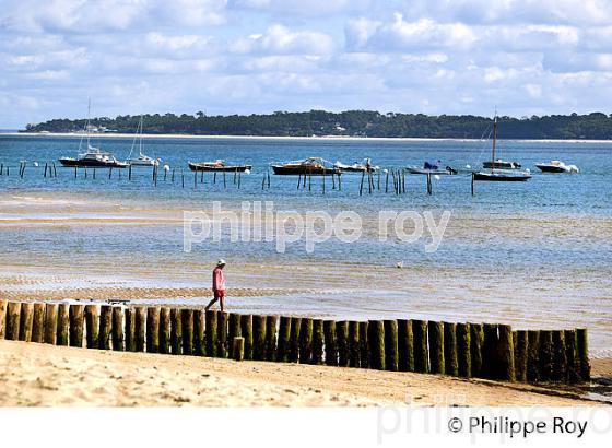 PLAGE DE  BELISAIRE, PRESQU' ILE DU CAP FERRET, BASSIN D' ARCACHON, GIRONDE. (33F27340.jpg)