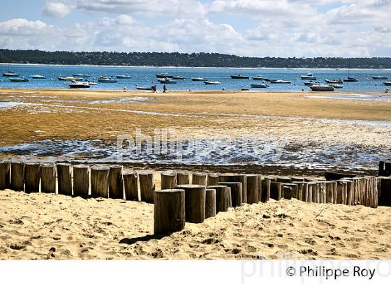 PLAGE DE  BELISAIRE, PRESQU' ILE DU CAP FERRET, BASSIN D' ARCACHON, GIRONDE. (33F27401.jpg)