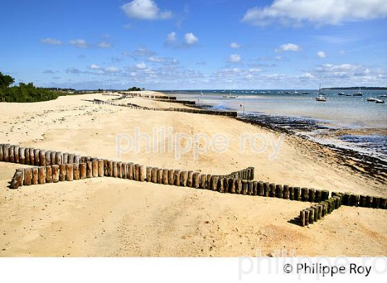 BANC DE SABLE DU  DU  MIMBEAU, BELISAIRE, PRESQU' ILE DU CAP FERRET, BASSIN D' ARCACHON, GIRONDE. (33F27402.jpg)