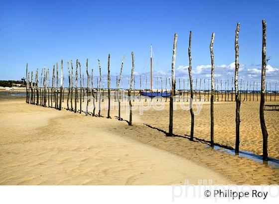PARC A HUITRES , PLAGE DE  BELISAIRE, PRESQU' ILE DU CAP FERRET, BASSIN D' ARCACHON, GIRONDE. (33F27403.jpg)