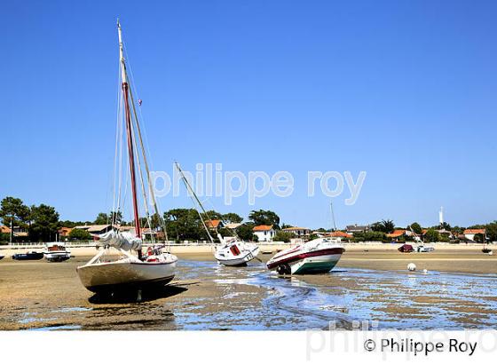 PLAGE DE  BELISAIRE, PRESQU' ILE DU CAP FERRET, BASSIN D' ARCACHON, GIRONDE. (33F27405.jpg)