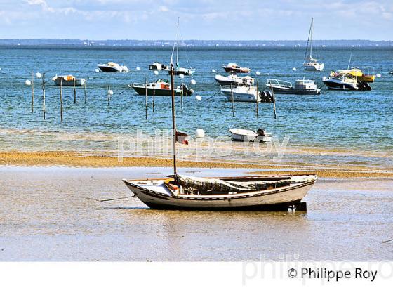 PLAGE DE  BELISAIRE, PRESQU' ILE DU CAP FERRET, BASSIN D' ARCACHON, GIRONDE. (33F27407.jpg)