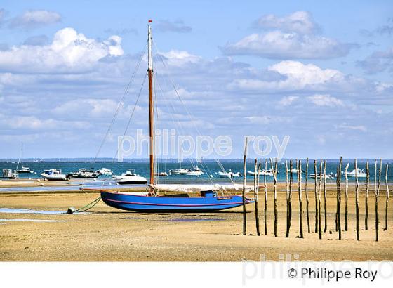 BAC A VOILE , PLAGE DE BELISAIRE, PRESQU' ILE DU CAP FERRET, BASSIN D' ARCACHON, GIRONDE. (33F27408.jpg)