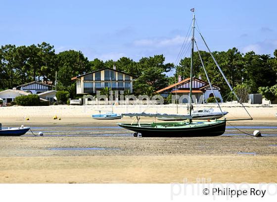 PLAGE DE  BELISAIRE, PRESQU' ILE DU CAP FERRET, BASSIN D' ARCACHON, GIRONDE. (33F27409.jpg)