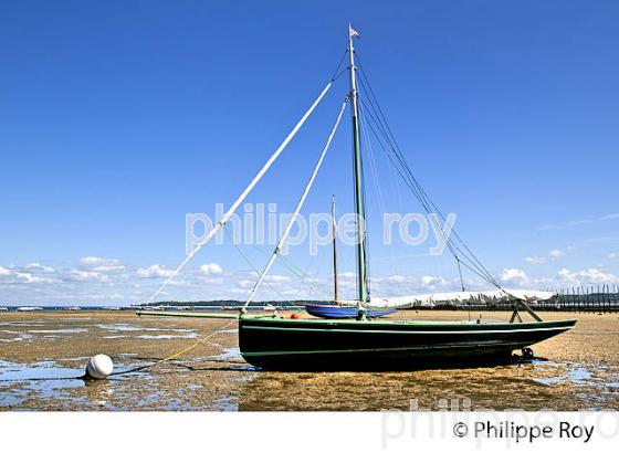 BAC A VOILE , PLAGE DE BELISAIRE, PRESQU' ILE DU CAP FERRET, BASSIN D' ARCACHON, GIRONDE. (33F27410.jpg)