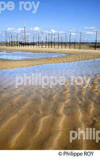 PLAGE DE  BELISAIRE, PRESQU' ILE DU CAP FERRET, BASSIN D' ARCACHON, GIRONDE. (33F27411.jpg)