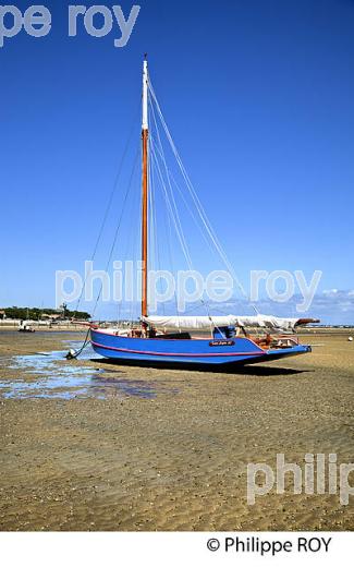 BAC A VOILE , PLAGE DE BELISAIRE, PRESQU' ILE DU CAP FERRET, BASSIN D' ARCACHON, GIRONDE. (33F27413.jpg)