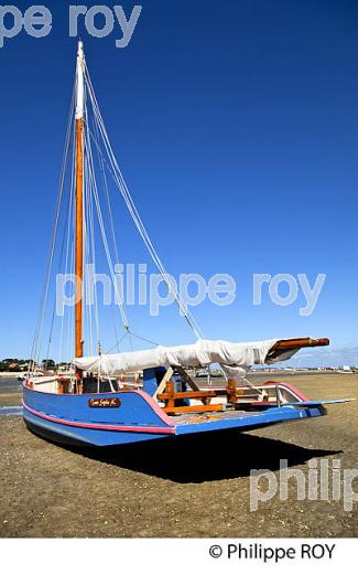 BAC A VOILE , PLAGE DE BELISAIRE, PRESQU' ILE DU CAP FERRET, BASSIN D' ARCACHON, GIRONDE. (33F27414.jpg)