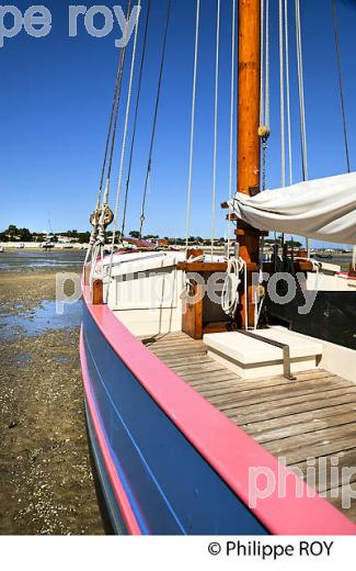 BAC A VOILE , PLAGE DE BELISAIRE, PRESQU' ILE DU CAP FERRET, BASSIN D' ARCACHON, GIRONDE. (33F27415.jpg)