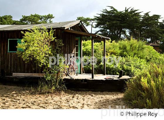 MAISON BATEAU, QUARTIER DES 44 HECTARES, PRESQU' ILE DU CAP FERRET, BASSIN D' ARCACHON, GIRONDE. (33F27436.jpg)