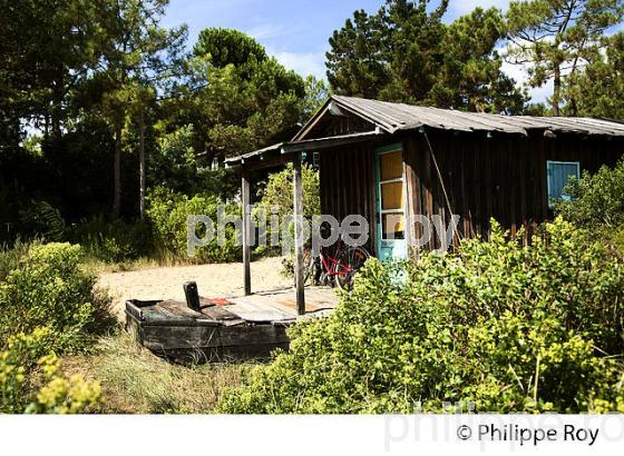 MAISON BATEAU, QUARTIER DES 44 HECTARES, PRESQU' ILE DU CAP FERRET, BASSIN D' ARCACHON, GIRONDE. (33F27437.jpg)