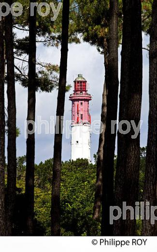 PHARE DE LA PRESQU' ILE DU CAP FERRET, BASSIN D' ARCACHON, GIRONDE. (33F27440.jpg)