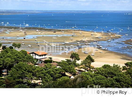 PANORAMA SUR LE BASSIN D' ARCACHON DEPUIS  LE PHARE DE  LA PRESQU' ILE DU CAP FERRET, GIRONDE. (33F27515.jpg)