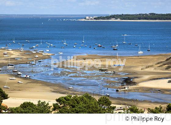 PANORAMA SUR LE BASSIN D' ARCACHON DEPUIS  LE PHARE DE  LA PRESQU' ILE DU CAP FERRET, GIRONDE. (33F27519.jpg)