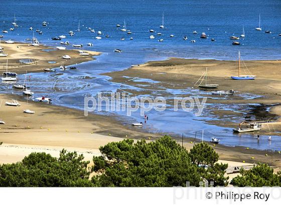 PANORAMA SUR LE BASSIN D' ARCACHON DEPUIS  LE PHARE DE  LA PRESQU' ILE DU CAP FERRET, GIRONDE. (33F27520.jpg)