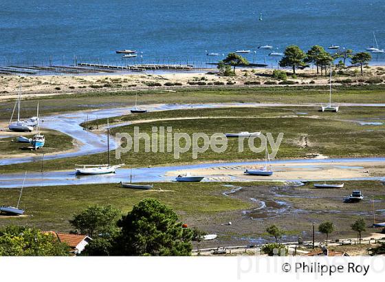 PANORAMA SUR LE BASSIN D' ARCACHON DEPUIS  LE PHARE DE  LA PRESQU' ILE DU CAP FERRET, GIRONDE. (33F27522.jpg)