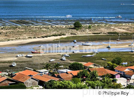 PANORAMA SUR LE BASSIN D' ARCACHON DEPUIS  LE PHARE DE  LA PRESQU' ILE DU CAP FERRET, GIRONDE. (33F27524.jpg)