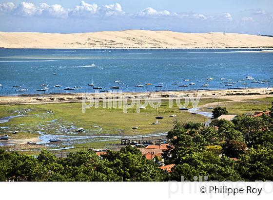 PANORAMA SUR LE BASSIN D' ARCACHON DEPUIS  LE PHARE DE  LA PRESQU' ILE DU CAP FERRET, GIRONDE. (33F27528.jpg)
