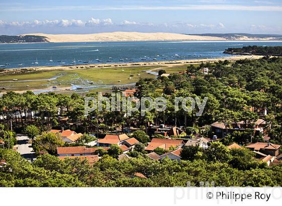 PANORAMA SUR LE BASSIN D' ARCACHON DEPUIS  LE PHARE DE  LA PRESQU' ILE DU CAP FERRET, GIRONDE. (33F27529.jpg)