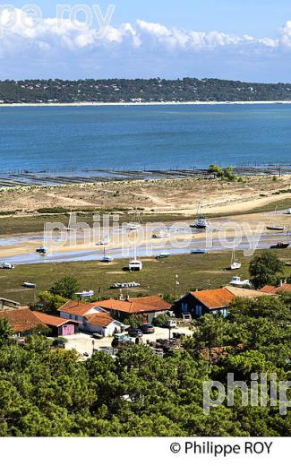 PANORAMA SUR LE BASSIN D' ARCACHON DEPUIS  LE PHARE DE  LA PRESQU' ILE DU CAP FERRET, GIRONDE. (33F27532.jpg)
