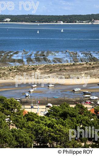 PANORAMA SUR LE BASSIN D' ARCACHON DEPUIS  LE PHARE DE  LA PRESQU' ILE DU CAP FERRET, GIRONDE. (33F27533.jpg)
