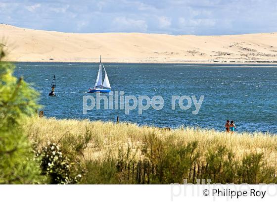 PLAGE  DE LA POINTE, PRESQU' ILE DU CAP FERRET, BASSIN D' ARCACHON, GIRONDE. (33F27534.jpg)