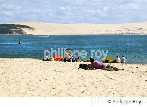 PLAGE  DE LA POINTE, PRESQU' ILE DU CAP FERRET, BASSIN D' ARCACHON, GIRONDE. (33F27536.jpg)