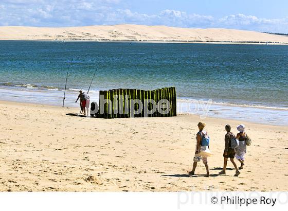 PLAGE  DE LA POINTE, PRESQU' ILE DU CAP FERRET, BASSIN D' ARCACHON, GIRONDE. (33F27537.jpg)