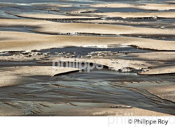 PLAGE  DE LA POINTE, PRESQU' ILE DU CAP FERRET, BASSIN D' ARCACHON, GIRONDE. (33F27601.jpg)