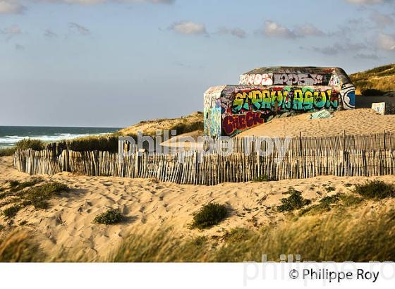 DUNE  DE SABLE  , COTE ATLANTIQUE, PRESQU' ILE DU CAP FERRET, BASSIN D' ARCACHON, GIRONDE. (33F27607.jpg)