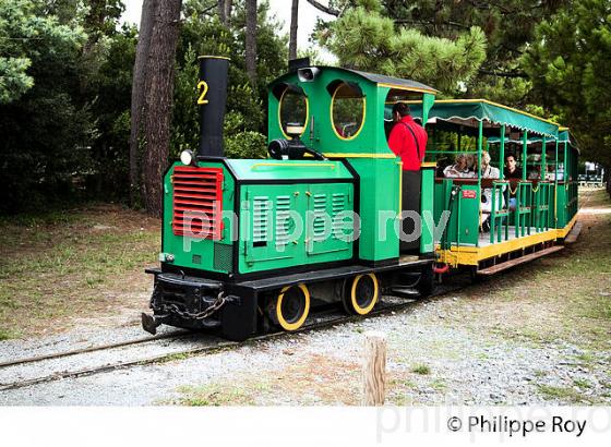 LE PETIT TRAIN, PRESQU' ILE DU CAP FERRET, BASSIN D' ARCACHON, GIRONDE. (33F27613.jpg)