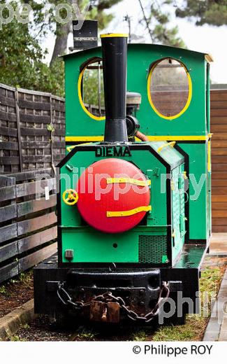 LE PETIT TRAIN, PRESQU' ILE DU CAP FERRET, BASSIN D' ARCACHON, GIRONDE. (33F27614.jpg)