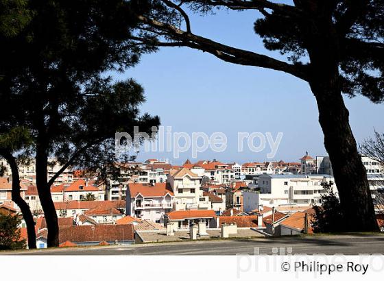 ARCACHON, VILLE D' ETE  ET BASSIN D' ARCACHON, COTE ATLANTIQUE, GIRONDE, AQUITAINE. (33F27619.jpg)