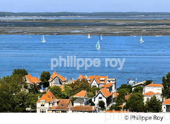 ARCACHON, VILLE D' ETE  ET BASSIN D' ARCACHON, COTE ATLANTIQUE, GIRONDE, AQUITAINE. (33F27624.jpg)