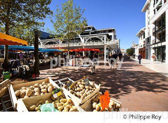 MARCHE DU COEUR DE VILLE D' ARCACHON, COTE ATLANTIQUE, GIRONDE, AQUITAINE. (33F27706.jpg)