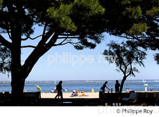 PLAGE , FRONT DE MER DE LA VILLE D'  ETE, ARCACHON, COTE ATLANTIQUE, GIRONDE, AQUITAINE. (33F27803.jpg)