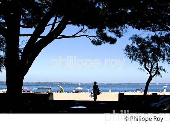 PLAGE , FRONT DE MER DE LA VILLE D'  ETE, ARCACHON, COTE ATLANTIQUE, GIRONDE, AQUITAINE. (33F27804.jpg)