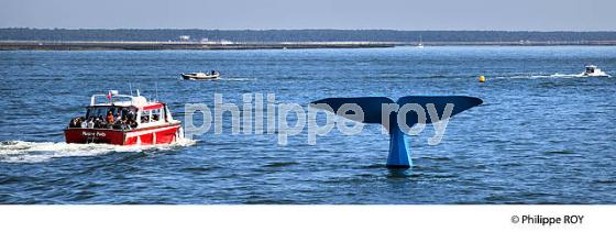 FRONT DE MER DE LA VILLE D'  ETE, ARCACHON, COTE ATLANTIQUE, GIRONDE, AQUITAINE. (33F27814.jpg)